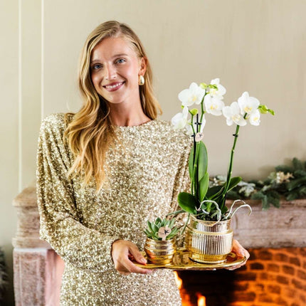 Kolibri Home | Cloud Dienblad - Goud