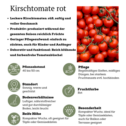 Rode plukgroente mix van 3 planten - Cherry tomaat - Rode snack paprika - Rode hete peper plant - ↕45cm - Ø14cm