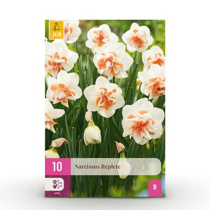 Bulbes de fleurs - Narcisses Replete - Blanc et orange - Lot de 10 - Calibre 10/12 - Format XXL