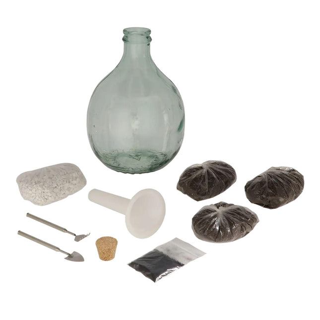 Kit para terrario de plantas DIY de 5 litros: crea tu propio ecosistema cerrado | En caja de regalo