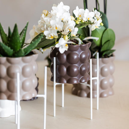 Hummingbird Home | Pflanzenständer – Weißer Metall-Pflanzenständer Ø12cm