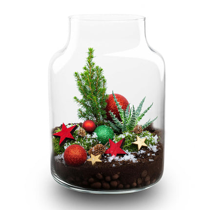 Frosty Christmas Terrarium - Plant Terrarium DIY Kit Christmas - Ø17cm - ↕25cm