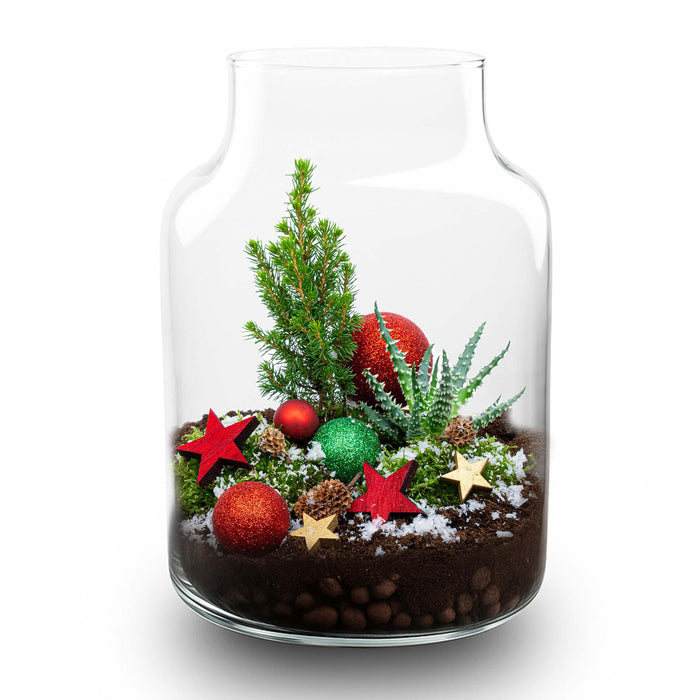 Frosty Kerstmis terrarium - Planten terrarium  DIY kit Christmas - Ø17cm - ↕25cm