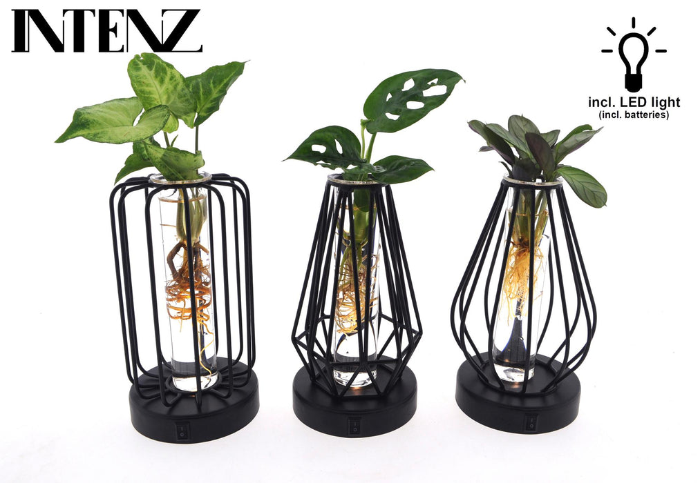 Mix in Turin Glass + LED - 3 piezas - Ø7cm - ↕20cm