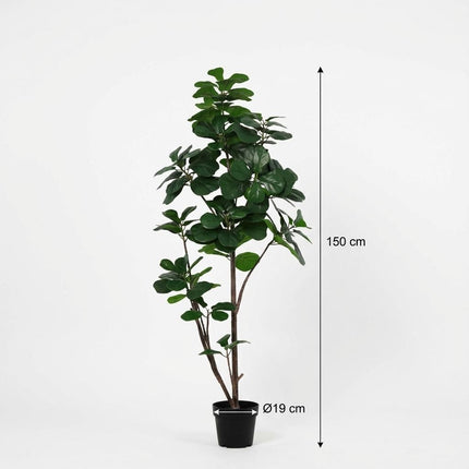 Kunstplant Ficus lyrata vertakt - ↕150cm