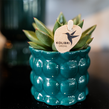 Kolibri Home | Cotton Shine decorative pot - Green - Ø6cm