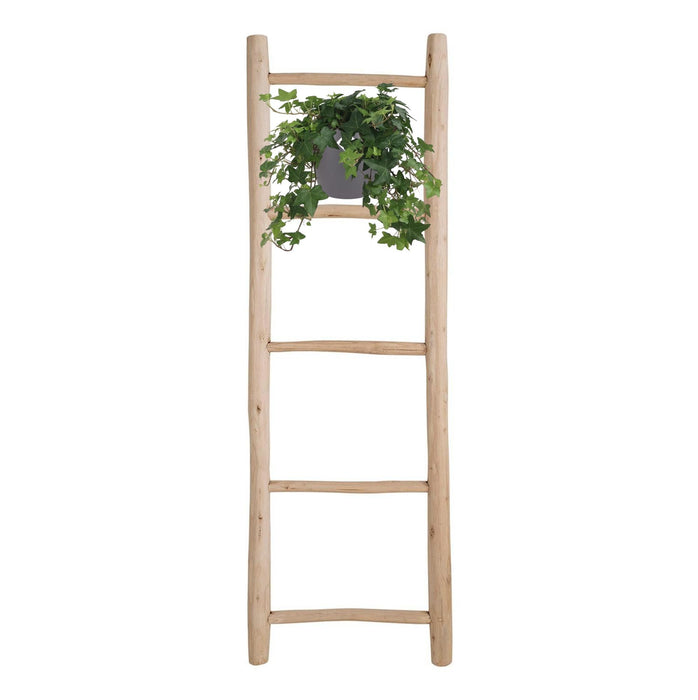 Hedera Helix Groen - Hangpot Wit / Basic - Ø17cm