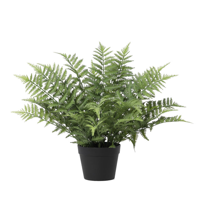 Pianta artificiale Nephrolepis exaltata - ↕59cm
