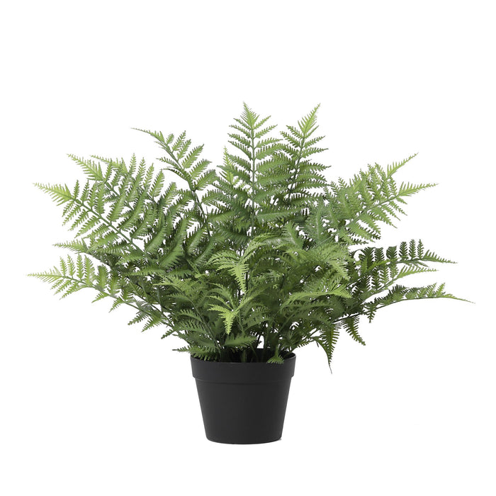 Plante artificielle Nephrolepis exaltata - ↕59cm