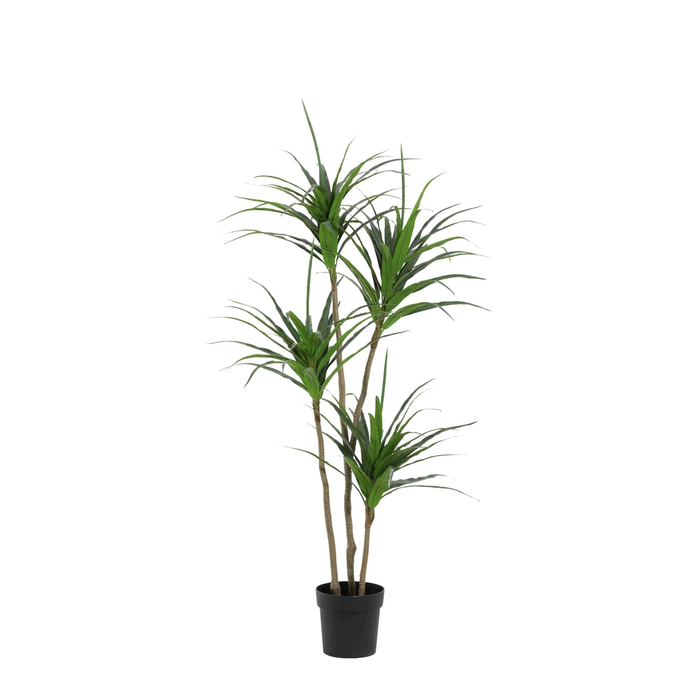 Kunstplant Dracaena - ↕165cm
