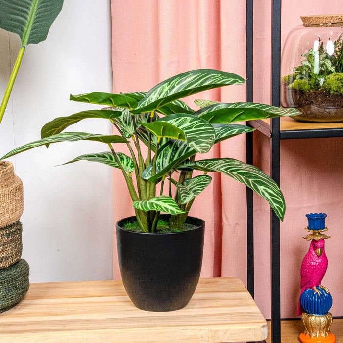 Calathea Zebrina - Kunstplant - in zwarte pot - ↕42cm