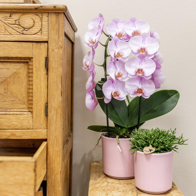 Kolibri Home | Maceta Simplicity - Maceta decorativa de cerámica - Rosa - 9 cm