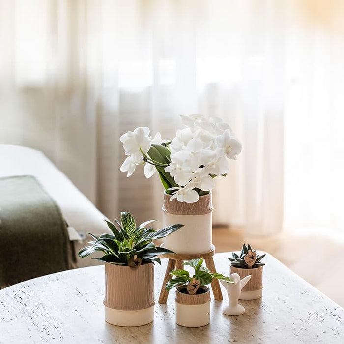 Kolibri Home | Bamboo sierpot - Sand - Ø9cm