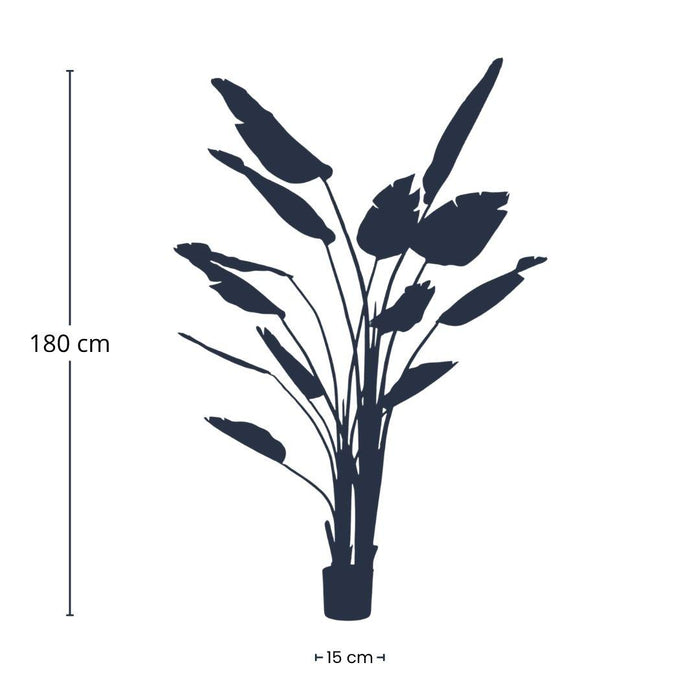 Strelitzia Nicolai - Grote Kunstplant - 180 cm - In zwarte pot