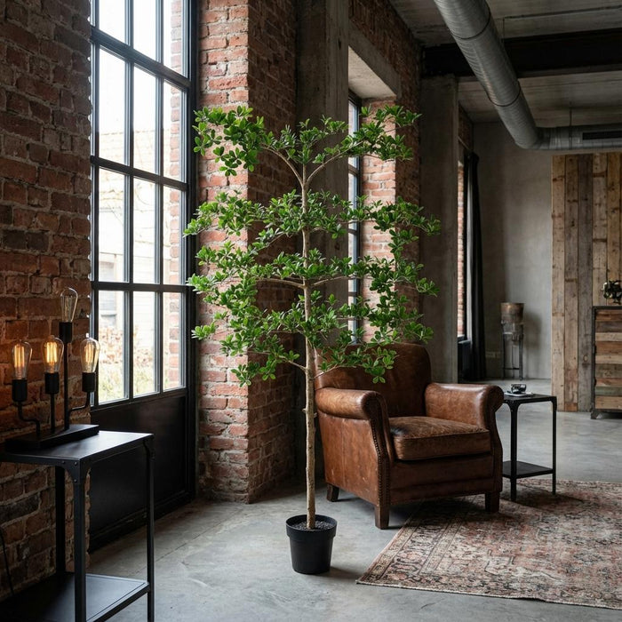 Kunstplant Bucida - ↕200cm