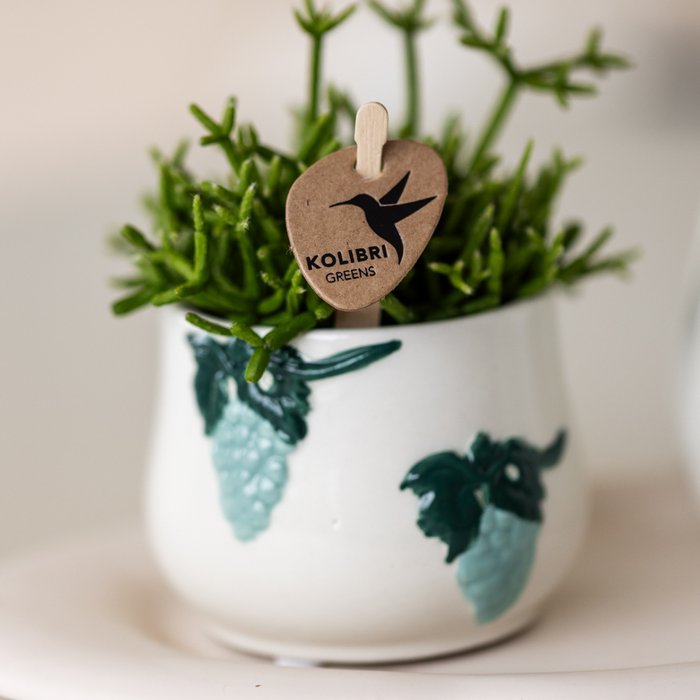 Kolibri Home I Grape pot - Blue - Ø6cm
