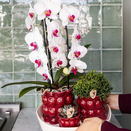 Kolibri Home | Cotton Shine decorative pot - Red - Ø6cm