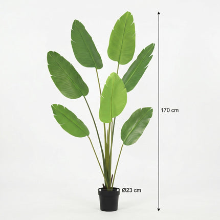 Sztuczna roślina Strelitzia Nicolai - ↕170cm