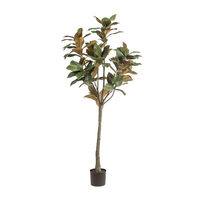 Grote Kunstplant - Magnolia Denudata - ↕150 cm