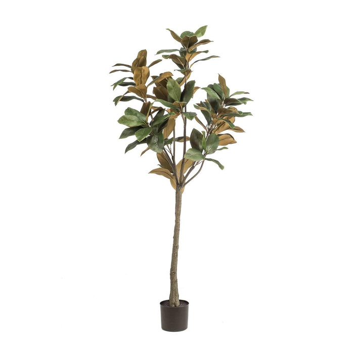 Magnolia Denudata - 150 cm - Kunstboom - Grote Kunstplant