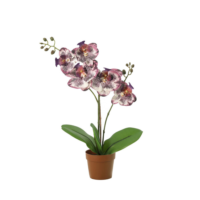 Plante artificielle Phalaenopsis orchidée violette - ↕41cm