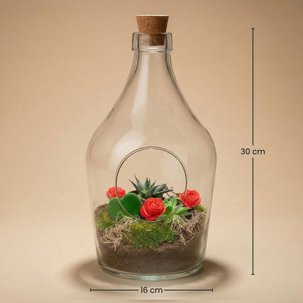 Love in a Bottle - DIY Open Plant Terrarium - ↕30cm - Ø16cm