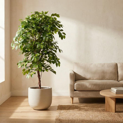 Sztuczne drzewko Ficus Deluxe Vine - ↕140 cm