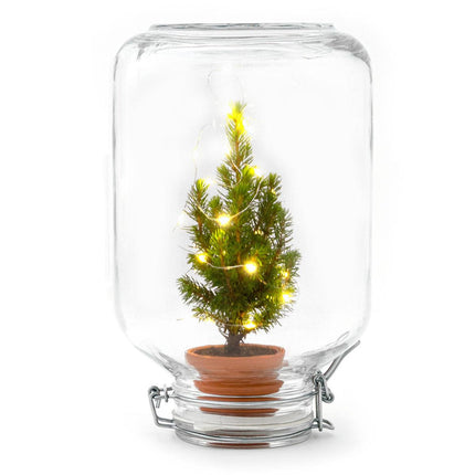 Easyplant - Christmas - Kerst decoratie  - ↕28cm - Kerstboom in fles