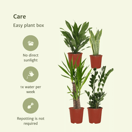 Jardinière facile à monter - 4 plantes d'intérieur - Hauteurs variées - Ø14-Ø17