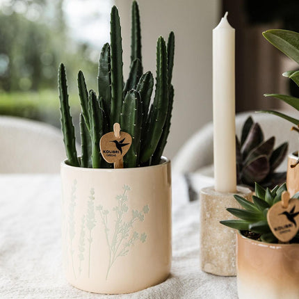 Kolibri Home | Doniczka kwiatowa - jasnoniebieska - 9 cm