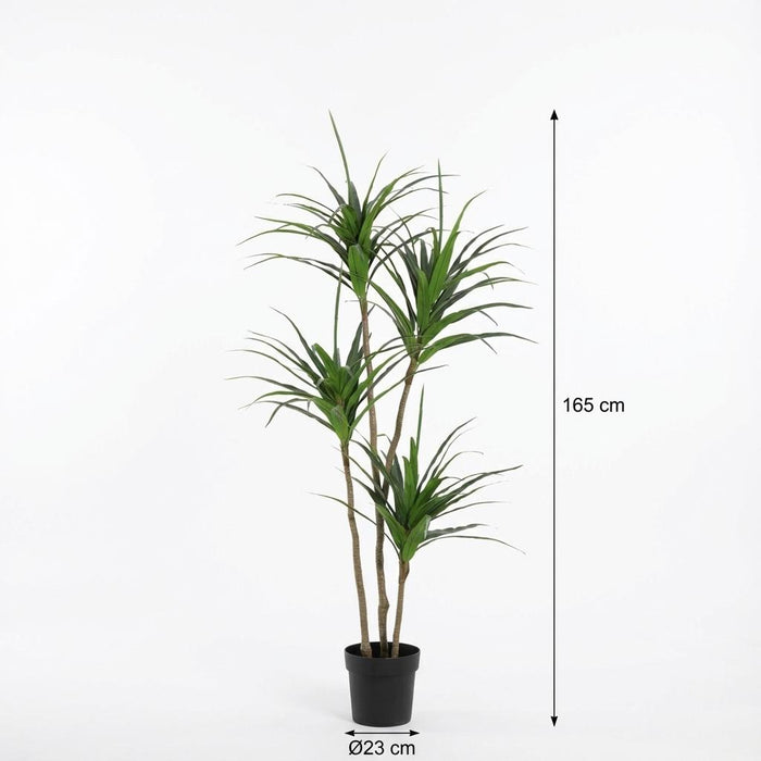 Kunstplant Dracaena - ↕165cm