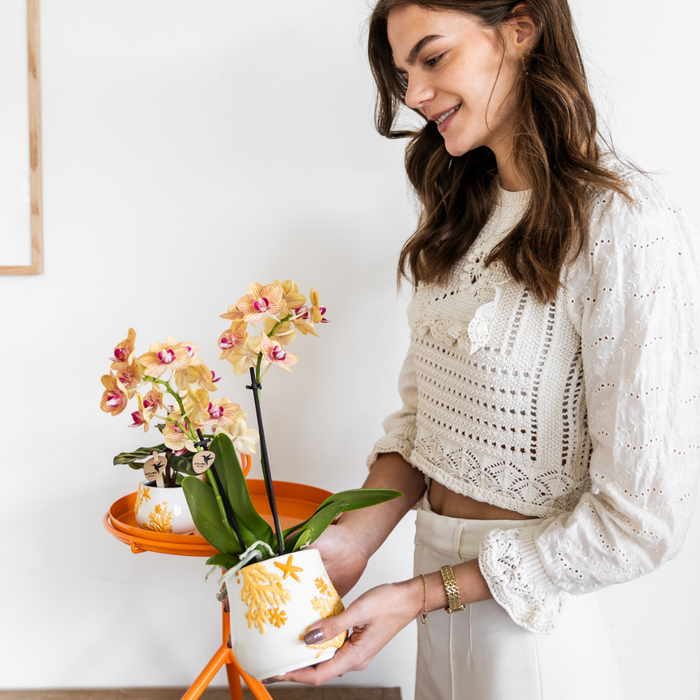 Kolibri Home | Coral plantenpot - Yellow - Ø9cm