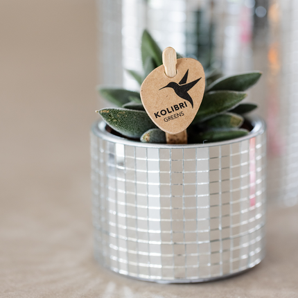 Kolibri Home | Disco decorative pot - Ø6cm