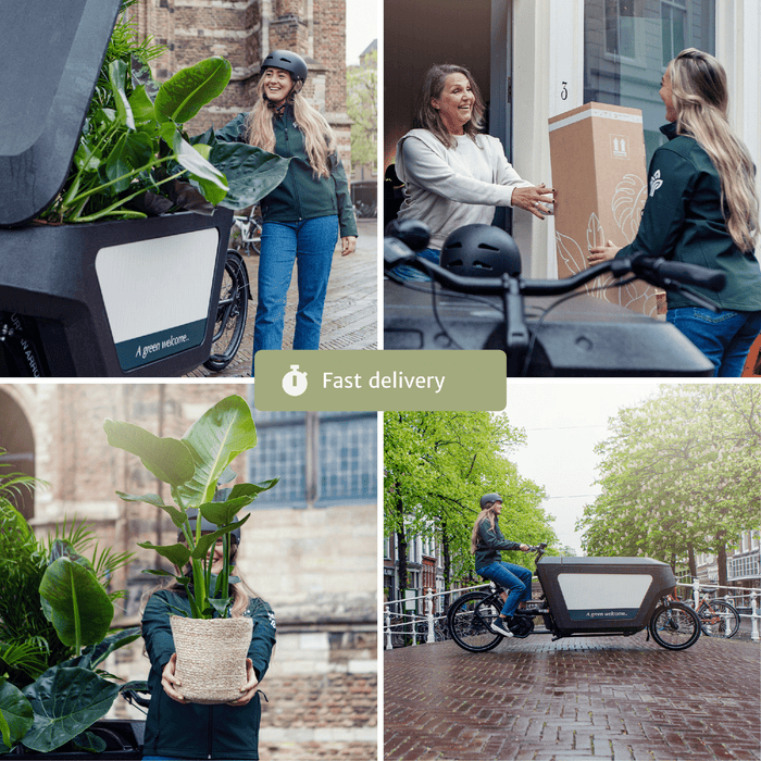 Diervriendelijke Plantenbox - ↕20-40cm - Ø12cm - 4x