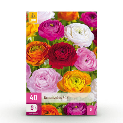 Bulbes de fleurs - Renoncules mélangées - Couleurs variées - 40 bulbes - Calibre 5/6 - Paquet XXL