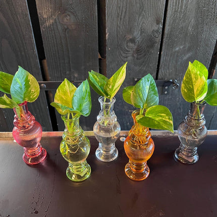 Mix In Venice Glass - Ø7cm - ↕20cm