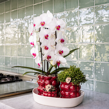 Kolibri Home | Cotton Shine decorative pot - Red - Ø6cm