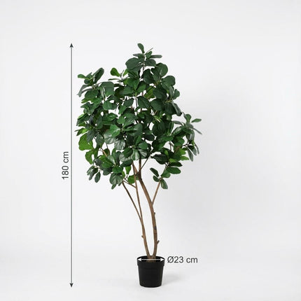 Kunstplant Ficus Lyrata boom - ↕180cm