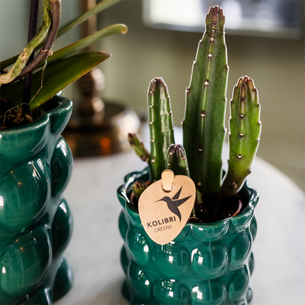 Kolibri Home | Cotton Shine decorative pot - Green - Ø6cm