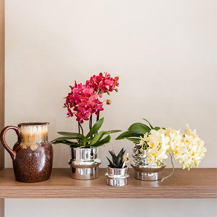 Kolibri Home | Chrome sierpot - Ø6cm