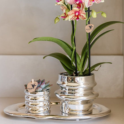 Kolibri Home | Glow sierpot - Zilver - Ø6cm