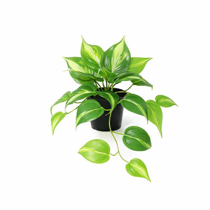 Plante artificielle Epipremnum Variegata - ↕23cm
