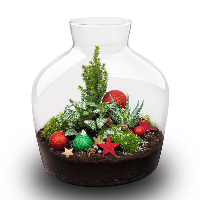 Holly Christmas terrarium - Bottle garden DIY kit - Ø29cm - ↕30cm
