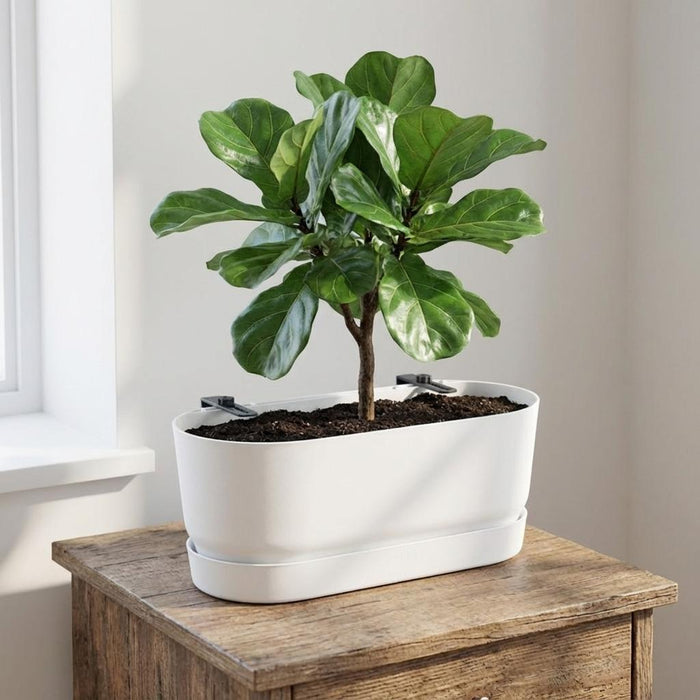 Balkonbak Elho Greenville Easy Balcony D25cm - Wit - Bloembak