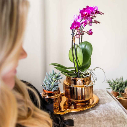 Kolibri Home | Allure Shiny sierpot - Brons - Ø9cm