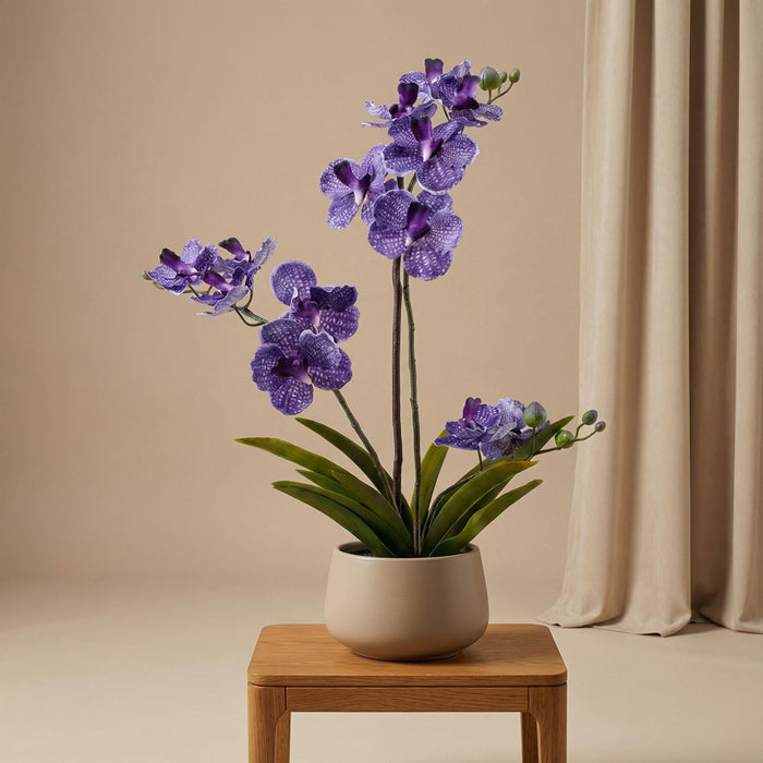 Orchidee Vanda kunstplant 60 cm - Paars - In pot