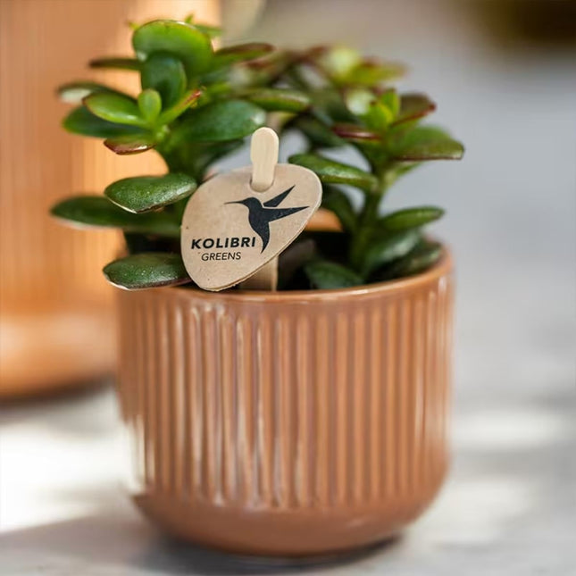 Kolibri Home | Flare ytterkruka - Cognac - Ø6cm