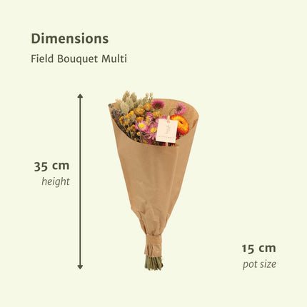 Field Bouquet Multi - Droogboeket - ↕35cm - Ø15 - 12x