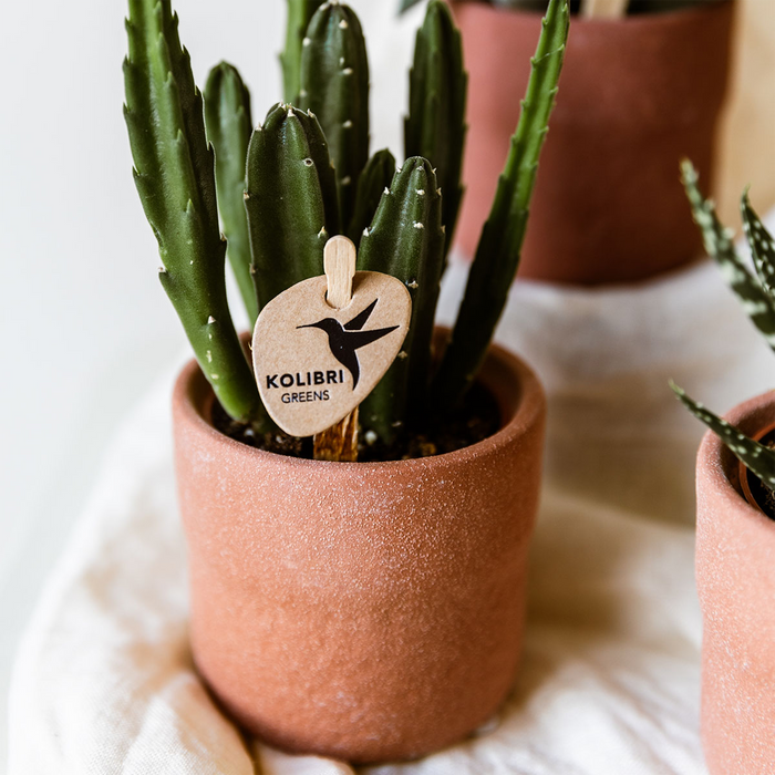 Kolibri Home | Rustic sierpot - Burned Orange - Ø6cm