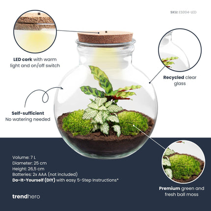 Terrarium à plantes à faire soi-même (avec lumière) - Teddy - ↕26,5 cm - Ø25 cm - Avec liège LED